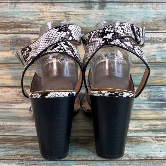 Steve Madden Carlin Black Ankle Strap Sandal Snake Print Wedge Heel Womens 7.5M - Picture 6 of 14